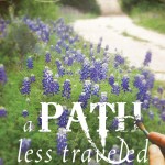 A Path Less Traveled 