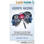 Growth Hacking Techniques Disruptive 