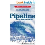 Experience Pipeline 