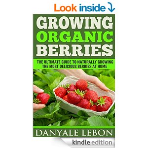 growing-organic-berries
