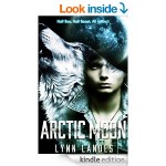 "Arctic Moon" by Lynn 