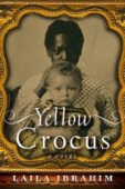 Yellow Crocus
