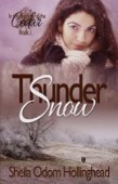Thundersnow