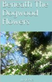 Beneath Dogwood Flowers 