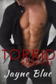 Torrid (Erotic Romance) 
