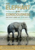 Elephant In My Consciousness 