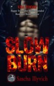 Slow Burn A Sexy