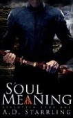Soul Meaning