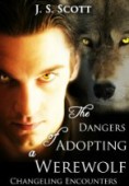 Dangers of Adopting a
