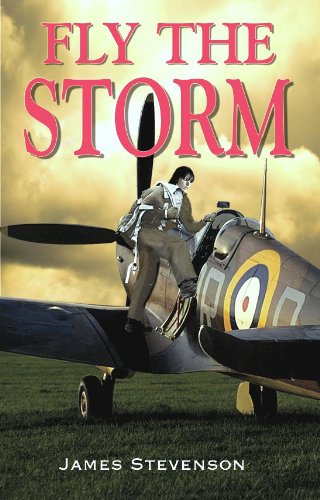 Fly The Storm