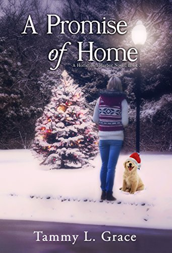 A Promise Of Home A Hometown Harbor Novel Book 3