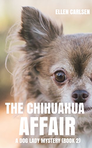 Chihuahua Affair A Dog 