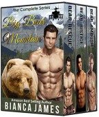 Big Bear Mountain - Bianca James