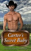 Carter's Secret Baby S. Smith