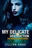 My Delicate Destruction Jillian Ashe
