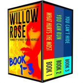 7th Street Crew Mystery Willow Rose