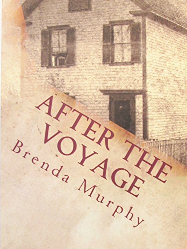 After the Voyage : An Irish American Story