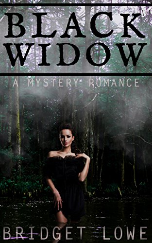 Black Widow : A Historical Mystery Romance