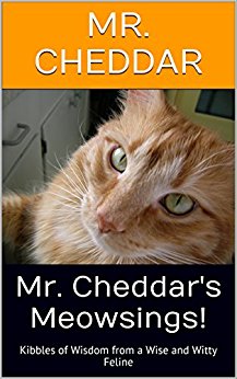 Mr. Cheddar's Meowsings! Kibbles of Wisdom from a Wise and Witty Feline