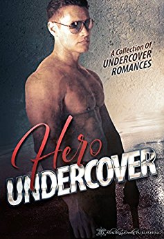 Hero Undercover: 25 Undercover Romances