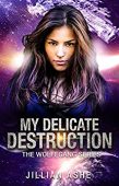 My Delicate Destruction Jillian Ashe