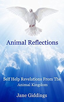 Animal Reflections 