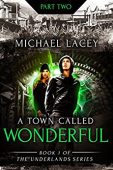 A Town Called Wonderful Michael Lacey