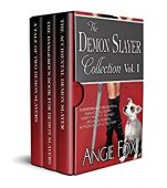 Accidental Demon Slayer Boxed 