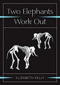 Two Elephants Work Out Elizabeth Kelly