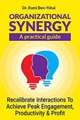 Organizational Synergy - A Rami Ben-Yshai