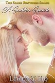 A Sudden Spark Liwen Ho