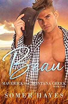 Beau - Mavericks of Montana Creek