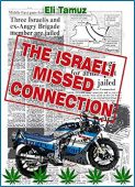 Israeli Missed Connection 