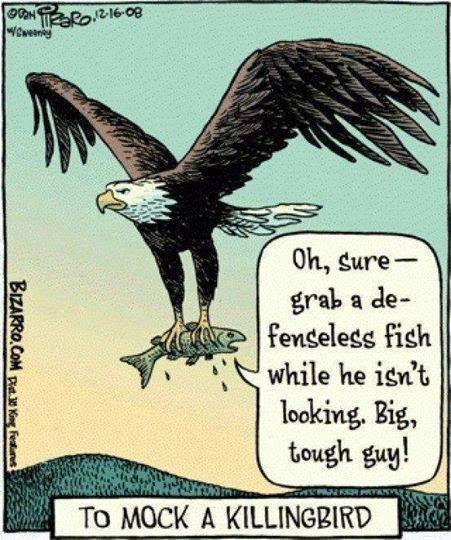Cartoon joke about To Kill a Mockingbird: To Mock a Killingbird