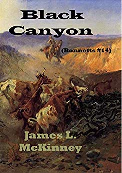 Black Canyon (Bonnetts #14) 