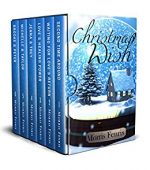 Christmas Wish Box Set 