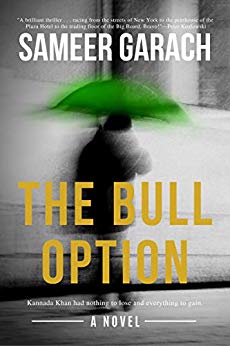 The Bull Option: A Wall Street Novel