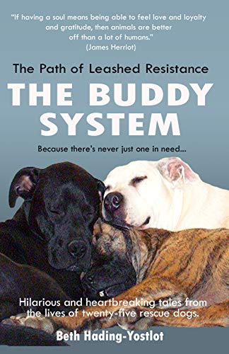 Path of Leashed Resistance Beth  Hading-Yostlot 