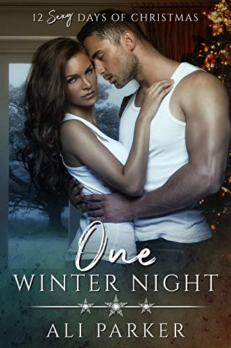 One Winter Night Ali Parker