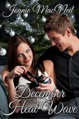December Heat Joanie MacNeil