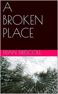 broken place novel