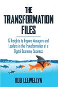 Transformation Files 17 Insights Rob Llewellyn
