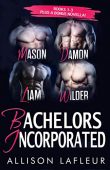 Bachelors Incorporated Box Set Allison LaFleur