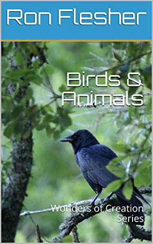 Birds & Animals