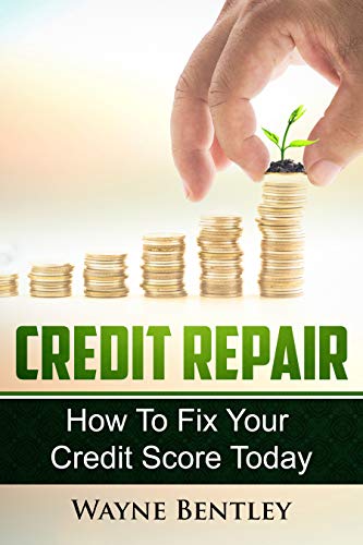 Credit Repair 2020 How Wayne Bentley