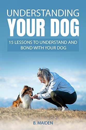 Understanding your dog: 15 lessons to understand and bond with your dog