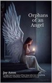 Orphans of an Angel Jay Aston
