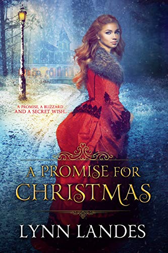 A Promise for Christmas Lynn  Landes