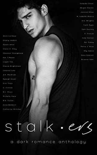 Stalkers A Dark Romance Ally Vance