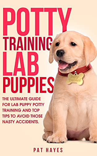 POTTY TRAINING LAB PUPPIES